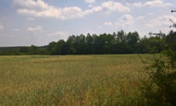 horsovsky-tyn-19pc-prehled