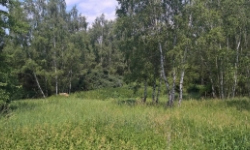 horsovsky-tyn-36pc-prehled