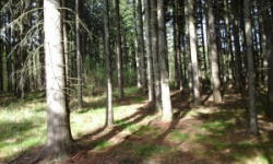 huntirov-pc-1637-2-prehled