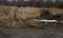 hury-pc-611-8-617-1-3-619-4-7-prehled