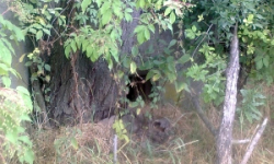 jaktar-vec-47aop-prehled