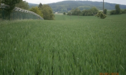 janovice-nad-uhlavou-pc-2423-2432-2784-prehled