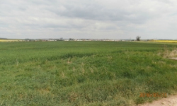 kralovice-u-rakovnika-pc-2606-2-5930-prehled