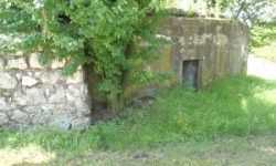 lednice-vec-807ol-prehled