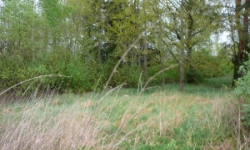 lomnice-nad-luznici-pc-2262-11-prehled