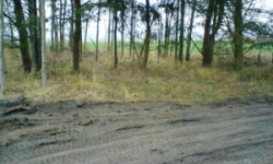 lomnice-nad-luznici-pc-415-5-10-11-23-24-prehled