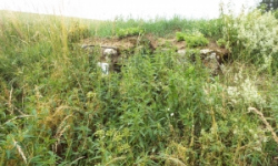 marketa-vec-6121-prehled