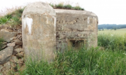 marketa-vec-6126-prehled