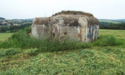 marketa-vec-6133-prehled