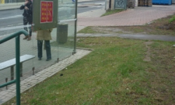 michle-pc-785-20-67-prehled