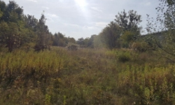 mikulov-na-morave-pc-2532-19-113-prehled