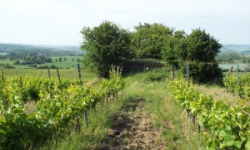 mikulov-na-morave-vec-739ol-prehled