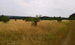 milikov-u-stribra-pc-1223-4-1249-prehled