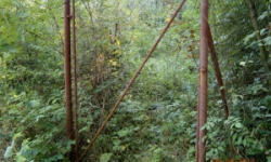 mokosin-pc-99-6-prehled