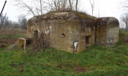 mradice-vec-10070-prehled