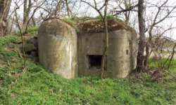 mradice-vec-10074-prehled