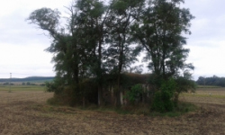 novosedly-na-morave-vec-654ol-prehled