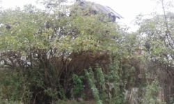 novosedly-na-morave-vec-663ol-prehled