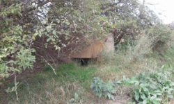 novosedly-na-morave-vec-667aol-prehled