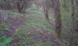 pasinka-pc-161-1-166-14-15-16-17-18-19-prehled