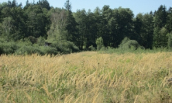 pistov-u-jihlavy-pc-485-12-13-44-prehled