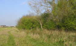 plana-u-ceskych-budejovic-pc-1469-339-prehled