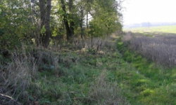 plana-u-ceskych-budejovic-pc-99-10-prehled