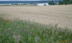 pleteny-ujezd-pc-122-11-prehled