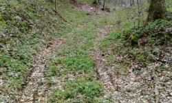 podhori-na-morave-pc-982-prehled