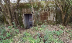 pohorelice-nad-jihlavou-vec-971ol-prehled