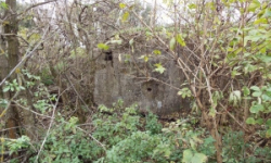 pohorelice-nad-jihlavou-vec-974ol-prehled