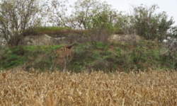 pohorelice-nad-jihlavou-vec-976ol-prehled