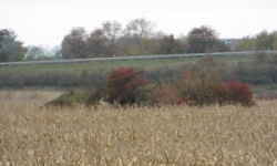 pohorelice-nad-jihlavou-vec-991ol-prehled