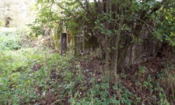 pohorelice-nad-jihlavou-vec-992ol-prehled