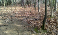 praslavice-u-olomouce-pc-1240-69-70-prehled