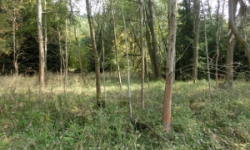 psary-pc-833-prehled