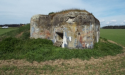 rancirov-vec-6167-prehled