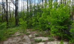 rebesovice-pc-383-29-prehled