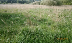 rokycany-pc-540-1-prehled