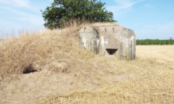 satov-vec-419ol-prehled