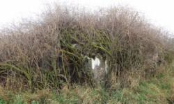 sedlec-u-mikulova-vec-756ol-prehled