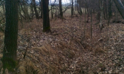 sedlnice-pc-1151-11-prehled