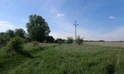 skvorec-pc-2153-prehled