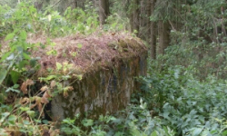 slavetin-u-slavonic-vec-6072-prehled