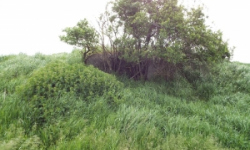 slup-vec-495ol-prehled