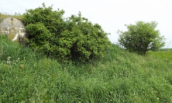 slup-vec-498ol-prehled