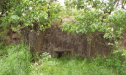 slup-vec-507ol-prehled