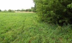 straky-pc-1529-2-prehled