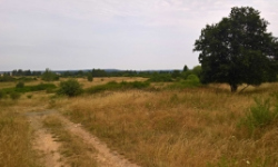 stribro-pc-933-1-3146-3152-3153-prehled