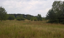 techlovice-u-stribra-pc-1235-1-1273-1-5-6-1652-prehled